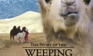 Cine-Club Pruden del 24 al 30 marzo