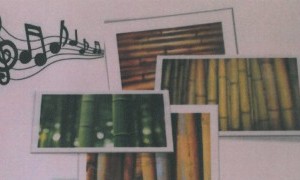 Conferencia: Instrumentos Musicales construidos con caña