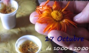 Taller Cosmética Artesana Ecológica con Lola Munuera