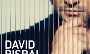 Concierto David Bisbal 