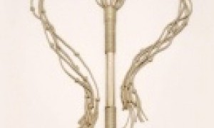 Filmoteca Regional del 31 marzo al 6 abril