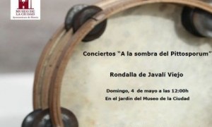 Conciertos “A la sombra del Pittosporum” en el Museo de la Ciudad
