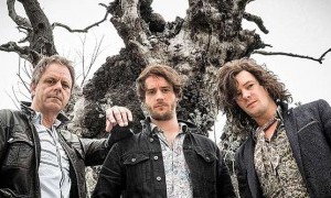 THE BREW EN MURCIA PRESENTA "SHAKE THE TREE"