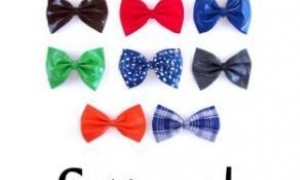 Carnaval de Santiago de la Ribera 