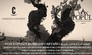 Sorteo: Jornada de enoturismo en Bodegas Castaño