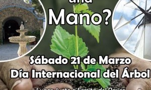 I Jornada de plantación en Torre Pacheco