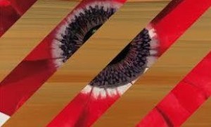 Inauguración de la Exposición MATERIA: DE LA NATURALEZA MUERTA A LA ABSTRACCIÓN