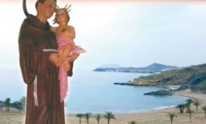 Fiestas de San Antonio en Cañada de Gallego