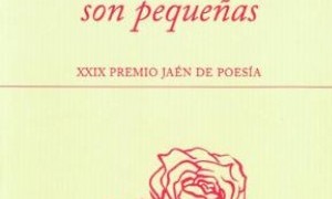 Presentación del libro Las pequeñas espinas son pequeñas en el Café Zalacaín