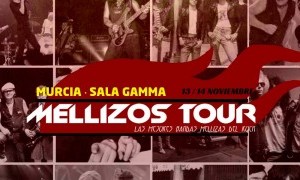 Ganadores sorteo Mellizos Tour