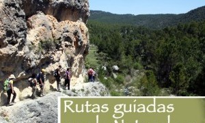 Rutas guiadas por la naturaleza