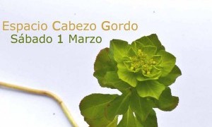 Taller de cosmética artesana ecológica