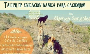 Taller de educación básica para cachorros