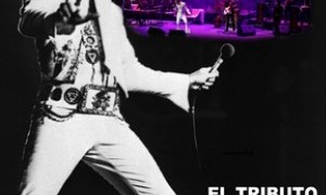 Teatro Romea - Enero